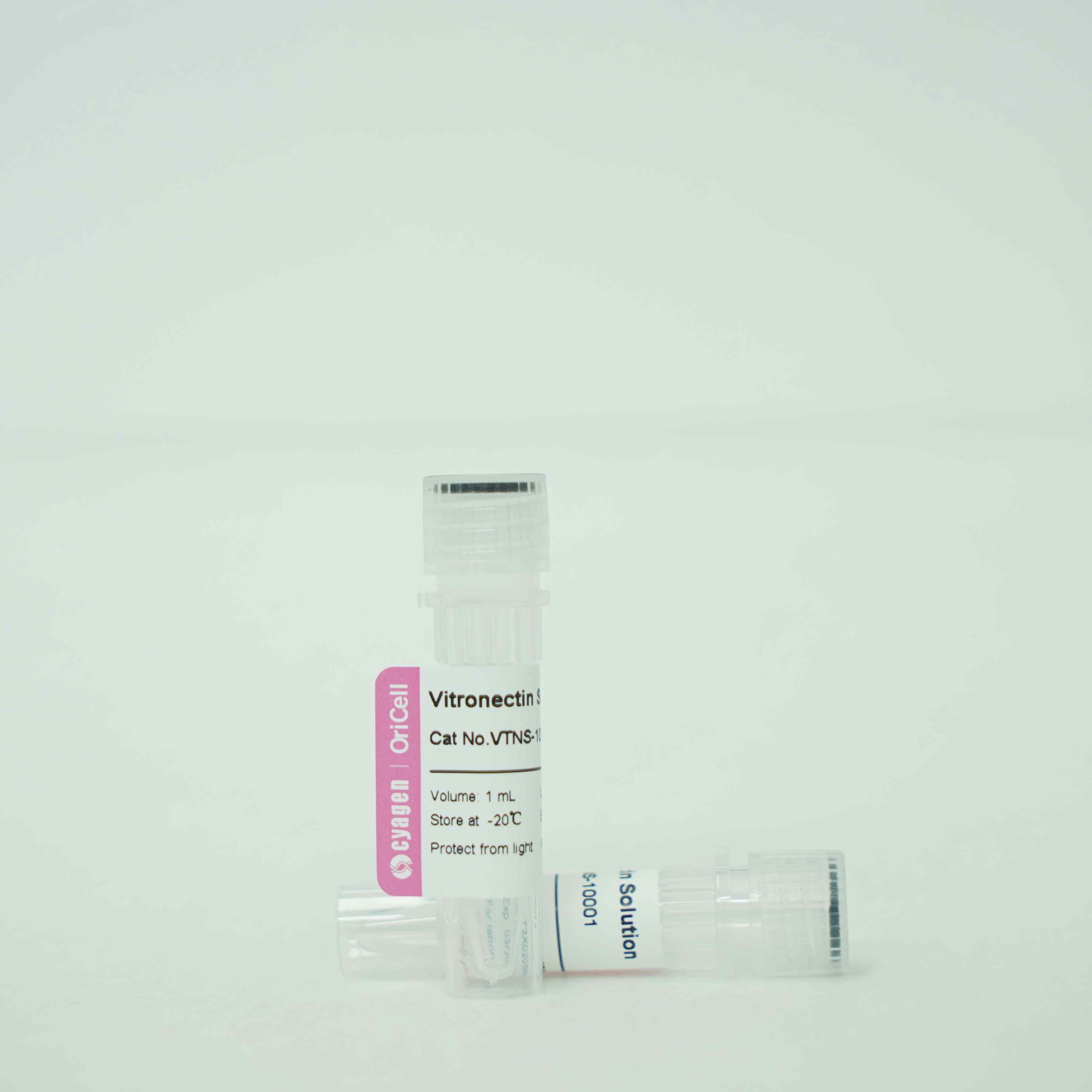 OriCell®VTN溶液（玻连蛋白）