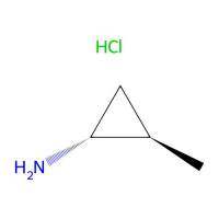 trans-2-methylcyclopropanamine;hydrochloride,97291-62-8,97%,阿拉丁