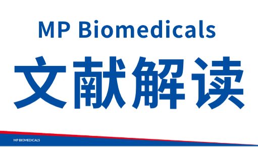 【文献解读】抗衰代谢新方向：NAD+补充，肠道菌群是关键