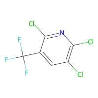 2，5，6-三氯-3-三氟甲基吡啶，80289-91-4，≥95%，阿拉丁
