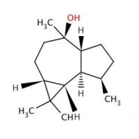 (-)-蓝桉醇,489-41-8,≥98.5%(GC), sum of enantiomers,阿拉丁