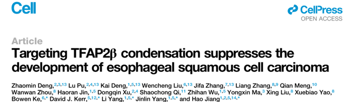 Cell重磅：吉玛基因siRNA助力发现食管癌治疗新靶点TFAP2β