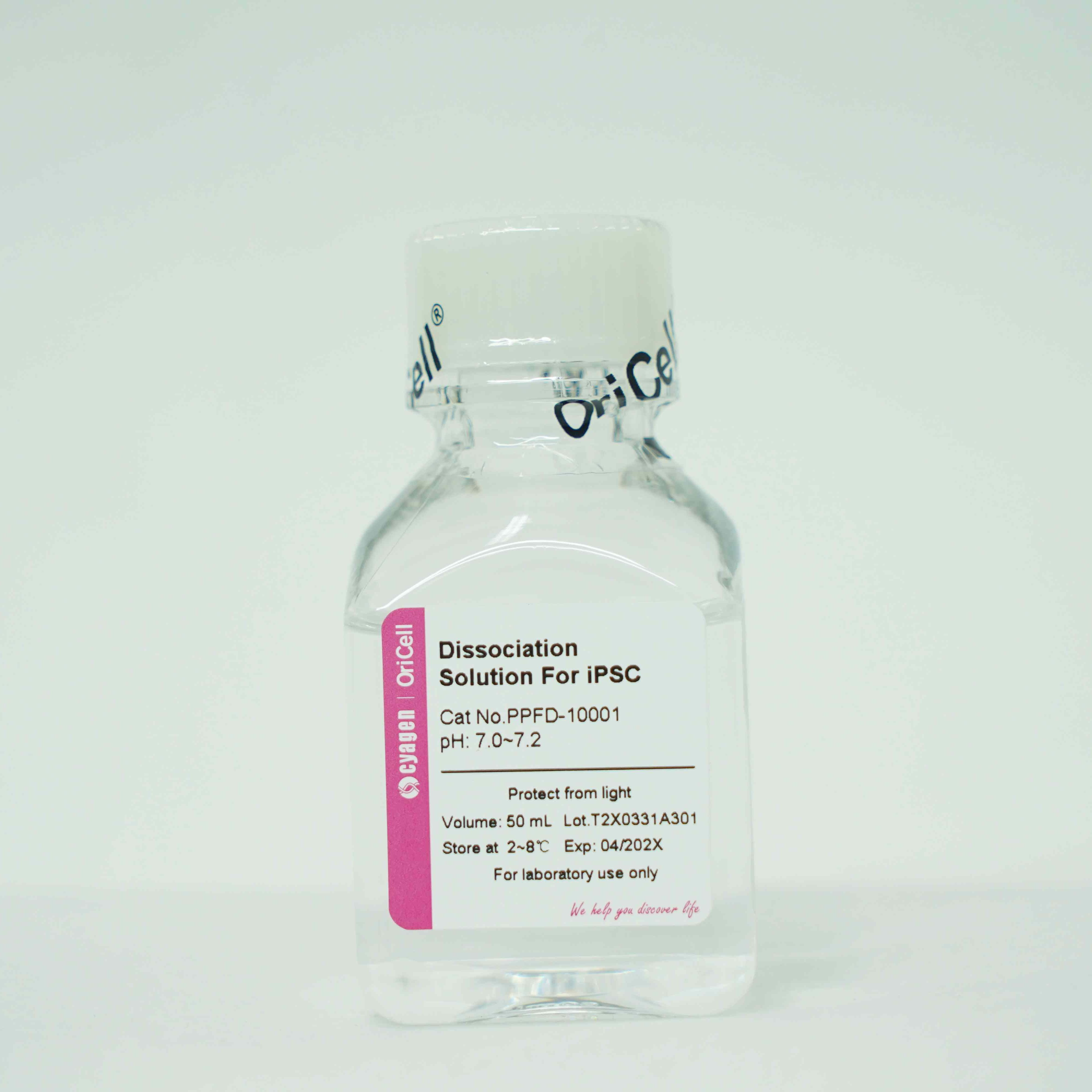 OriCell®诱导多能干细胞消化液