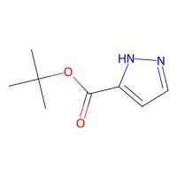 tert-butyl 1H-pyrazole-3-carboxylate,141178-50-9,≥97%,阿拉丁
