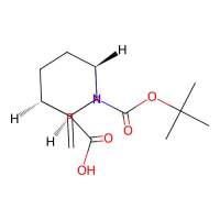 (1R,3R,4S)-2-tert-butoxycarbonyl-5-methylene-2-azabicyclo[2.2.2]octane-3-carboxylic acid，2891581-50-1，97%，阿拉丁
