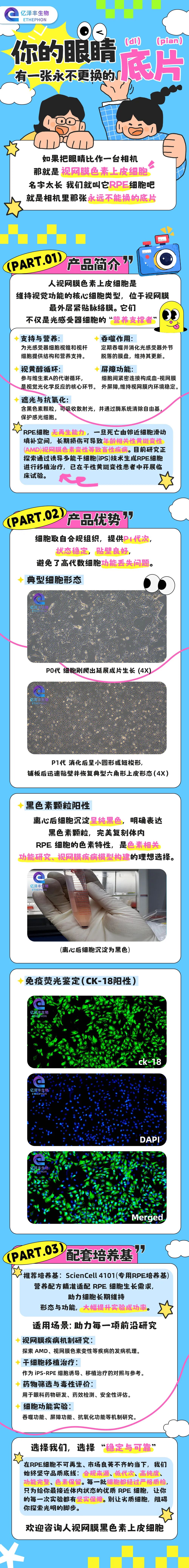 你的眼睛，有一张永不更换的 “底片”