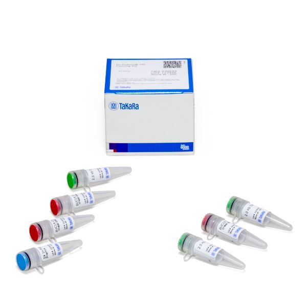 In-Fusion HD Cloning kits