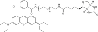 Rhodamine PEG Biotin, RB-PEG-Biotin,MW 2000 Da,阿拉丁