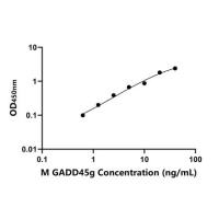 小鼠生长停滞DNA损伤可诱导蛋白γ(GADD45g)ELISA试剂盒
