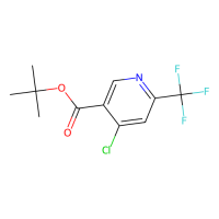 tert-butyl 4-chloro-6-(trifluoromethyl)pyridine-3-carboxylate,2206752-25-0,97%,阿拉丁
