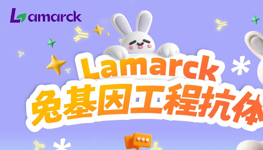 兔基因工程抗体丨多维度四阶特异性精筛，全流程严控，精准特异性，稳定覆盖全场景~