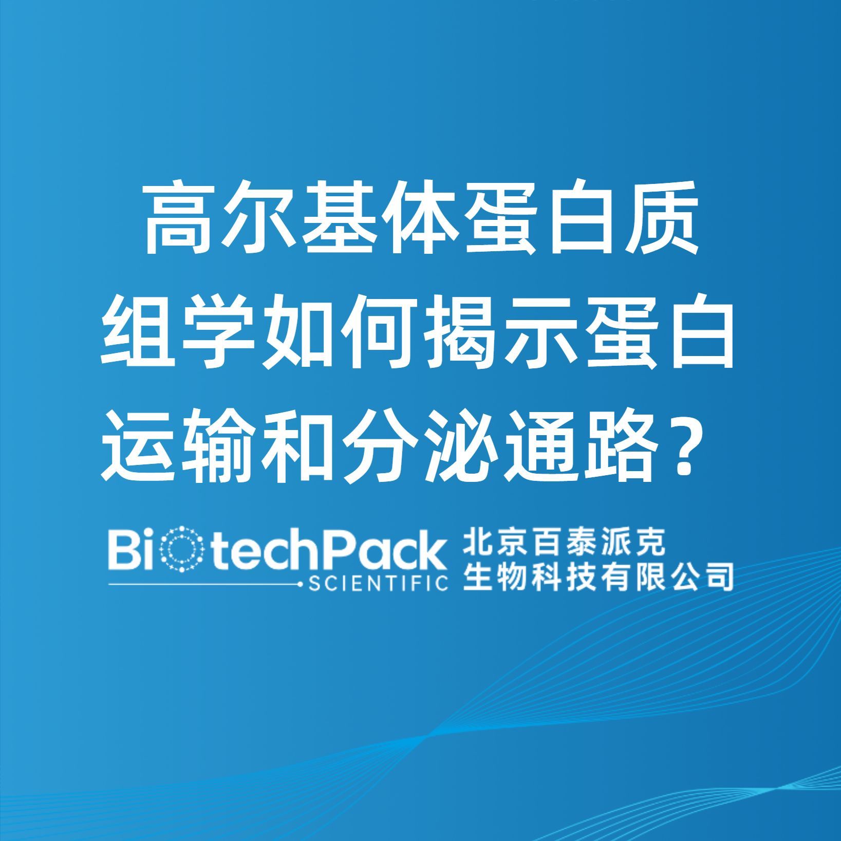 高尔基体蛋白质组学如何揭示蛋白运输和分泌通路？
