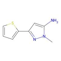 1-甲基-3-(噻吩-2-基)-1H-吡唑-5-胺,118430-78-7,≥97%,阿拉丁