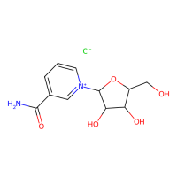 烟酰胺核糖氯化物(NR-CL),23111-00-4,10mM in DMSO,阿拉丁