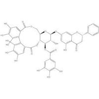 Pinocembrin-7-O-(3''-galloyl-4'',6''-(S)-hexahydroxydiphenoyl)-β-D-glucose