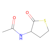 Citiolone，阿拉丁