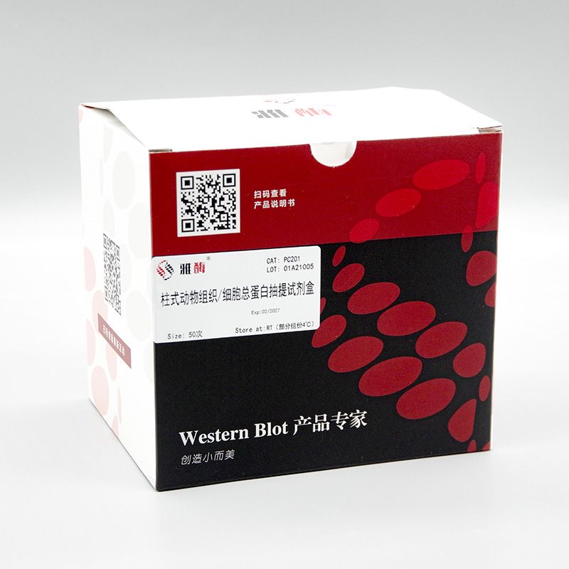 PC201plus 柱式动物组织/细胞总蛋白抽提试剂盒(含蛋白酶抑制剂混合液)