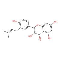 异甘草黄酮醇,94805-83-1,≥98%,阿拉丁