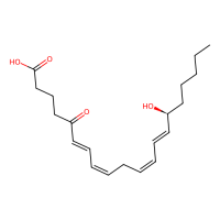 5-oxo-15-HETE,142828-12-4,Moligand™,阿拉丁