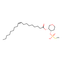 T13,Moligand™,阿拉丁