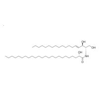 C24 (2'(S)-hydroxy) Ceramide (d18:1/24:0)，112317-53-0，≥98%，阿拉丁