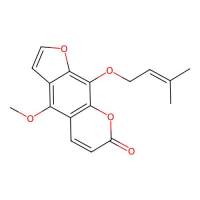 珊瑚菜素，2543-94-4，≥99%，阿拉丁