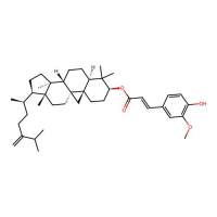 24-Methylenecycloartanyl ferulate,469-36-3,≥98%,阿拉丁