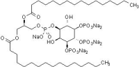 L-α-磷脂酰肌醇-3,4,5-三磷酸钠盐，≥98%，阿拉丁