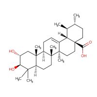 科罗索酸，4547-24-4，Moligand™,≥98%，阿拉丁