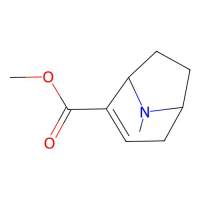 Methyl 8-methyl-8-azabicyclo[3.2.1]oct-3-ene-4-carboxylate，127379-24-2，阿拉丁