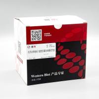 PC201 柱式动物组织/细胞总蛋白抽提试剂盒