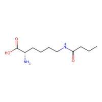 N6-Butyryl-L-lysine,75396-30-4,阿拉丁