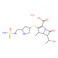 Doripenem Hydrate,364622-82-2,10mM in DMSO,阿拉丁
