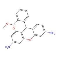 Dihydrorhodamine 123,109244-58-8,Cell-permeable fluorogenic probe that is useful for the detection of reactive oxygen species (ROS) such as peroxide and peroxynitrite.,阿拉丁