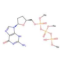 ddGTP trisodium,100mM in Water,阿拉丁