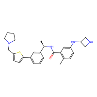 XR8-24,Moligand™,阿拉丁