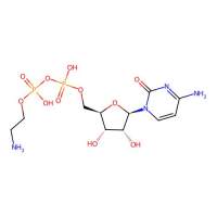 Cytidine 5′-diphosphoethanolamine,3036-18-8,≥99%,阿拉丁