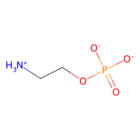 phosphoethanolamine,Moligand™,阿拉丁