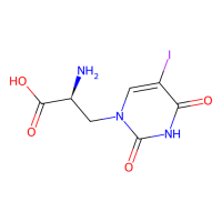 (S)-5-iodowillardiine,Moligand™,阿拉丁