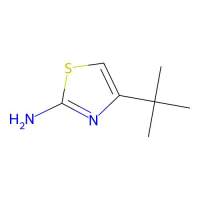 4-叔丁基-1,3-噻唑-2-胺,74370-93-7,10mM in DMSO,阿拉丁