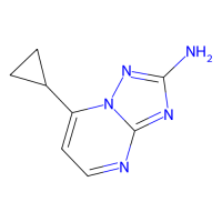 7-环丙基[1,2,4]三唑[1,5-a]嘧啶-2-胺，885949-41-7，95%，阿拉丁