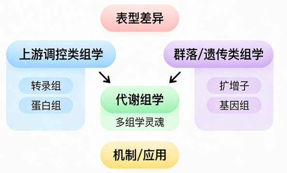 还有人不知道吗？代谢组才是多组学联用的灵魂