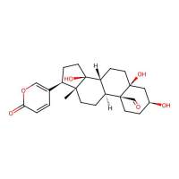 Hellebrigenin，465-90-7，≥99%，阿拉丁
