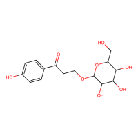 3-(4-羟基苯基)-3-氧丙基β-D-吡喃葡萄糖苷，53170-92-6，≥95%（LC/MS-ELSD），阿拉丁