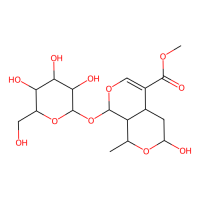 Morroniside,25406-64-8,10mM in DMSO,阿拉丁