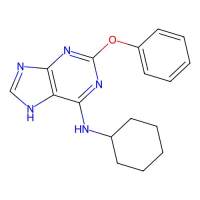 Cyclohexyl-(2-phenoxy-9H-purin-6-yl)-amine,阿拉丁