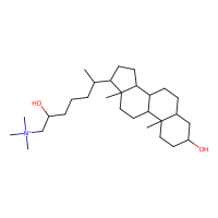lithocholylcholine,Moligand™,阿拉丁