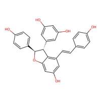 ε-Viniferin,62218-08-0,≥98%,阿拉丁