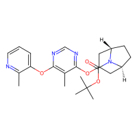 tert-butyl (1S,5S)-3-({5-methyl-6-[(2-methylpyridin-3-yl)oxy]pyrimidin-4-yl}oxy)-8-azabicyclo[3.2.1]octane-8-carboxylate，Moligand™，阿拉丁