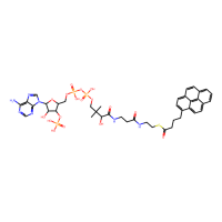 1-芘丁酰基-辅酶 A(铵盐),81923-89-9,≥99%,阿拉丁